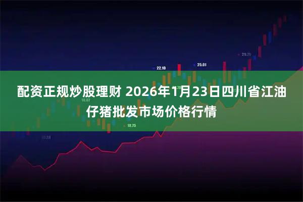 配资正规炒股理财 2026年1月23日四川省江油仔猪批发市场价格行情