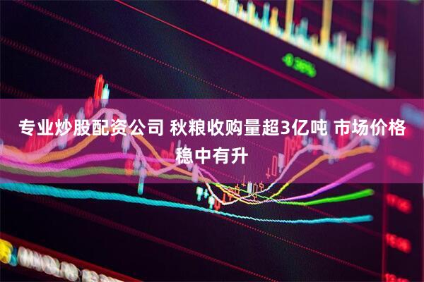 专业炒股配资公司 秋粮收购量超3亿吨 市场价格稳中有升